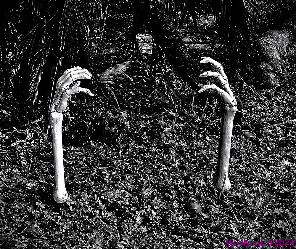 500_9441_001.JPG
