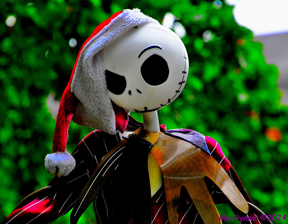 500_9487_001.JPG