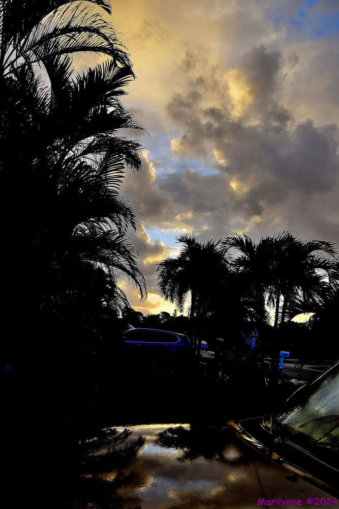 500_9515_001.JPG