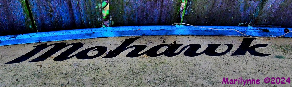 500_9821_001.JPG