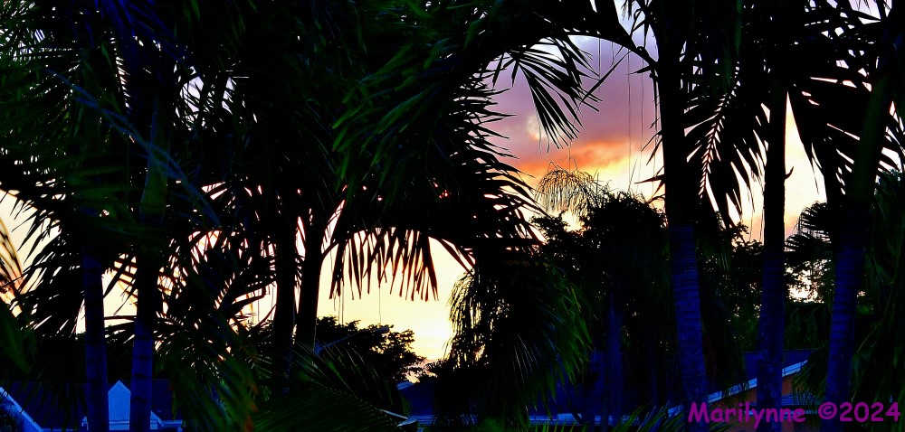 500_9864_001.JPG