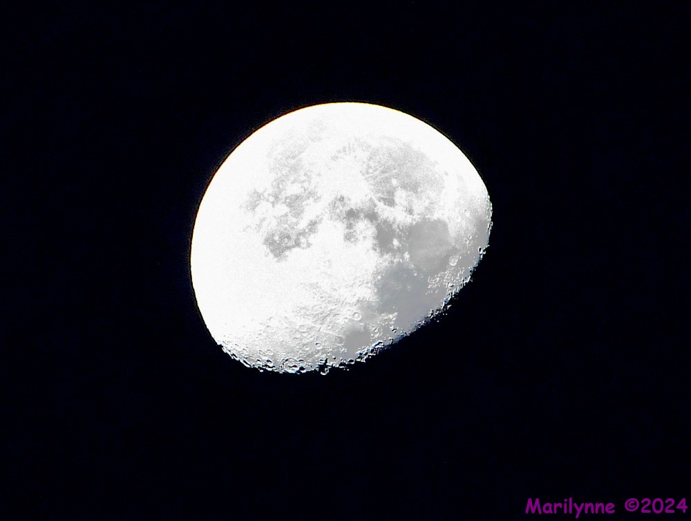 500_9976_001.JPG