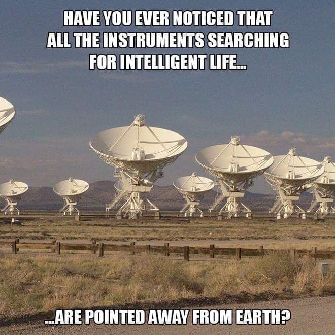 50226233_386159395472598_7993435231690424320_n.jpg