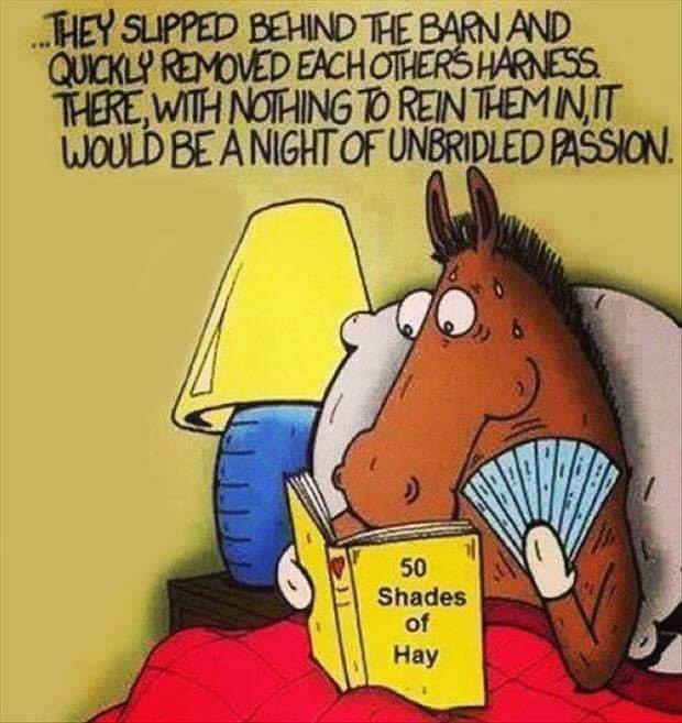 50shades ofhat.jpg