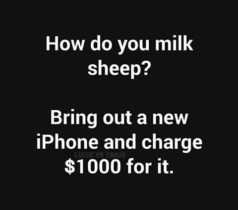 511331137_9968017653308646_573245501205770193_n.jpg