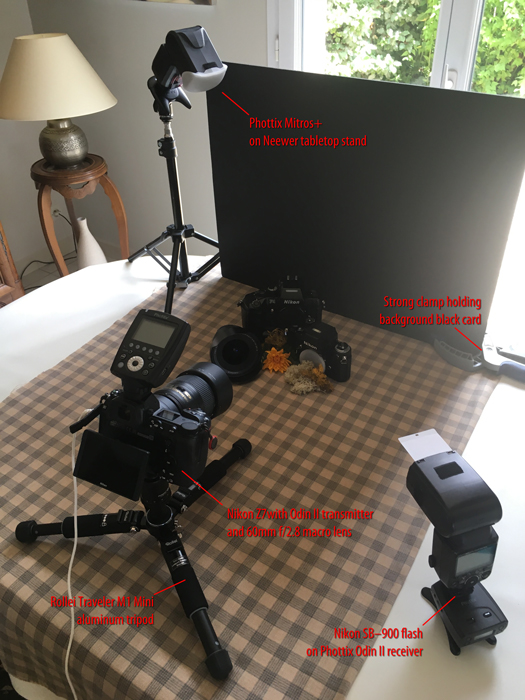 51342597443_3dbc7f348b_o.jpg