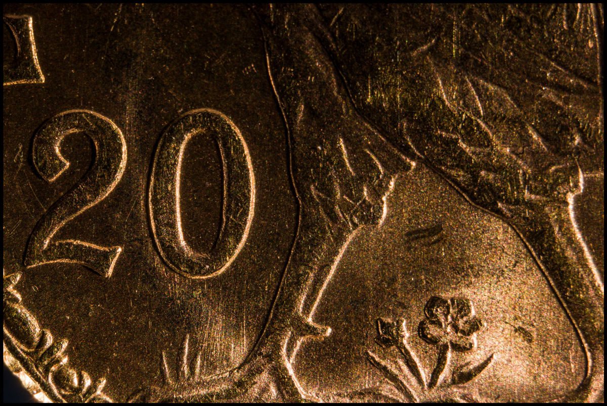 51595072273_6cd4925285_o.jpg