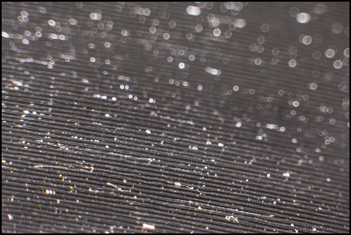 51658926844_8e3fc89180_o.jpg