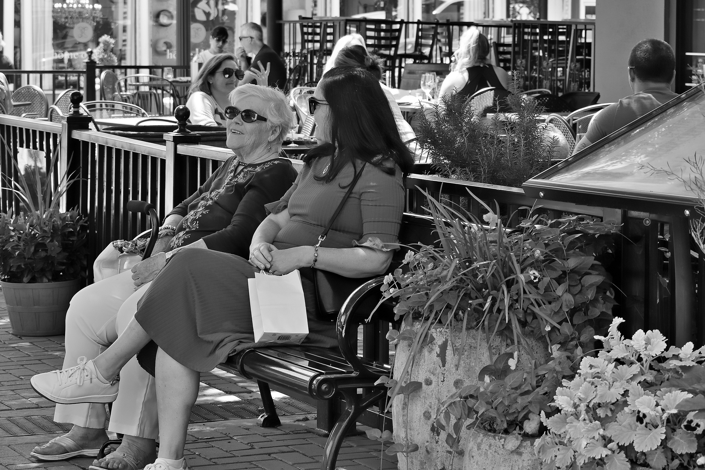 560_0024R_LSh_cr_sm_BW.jpg