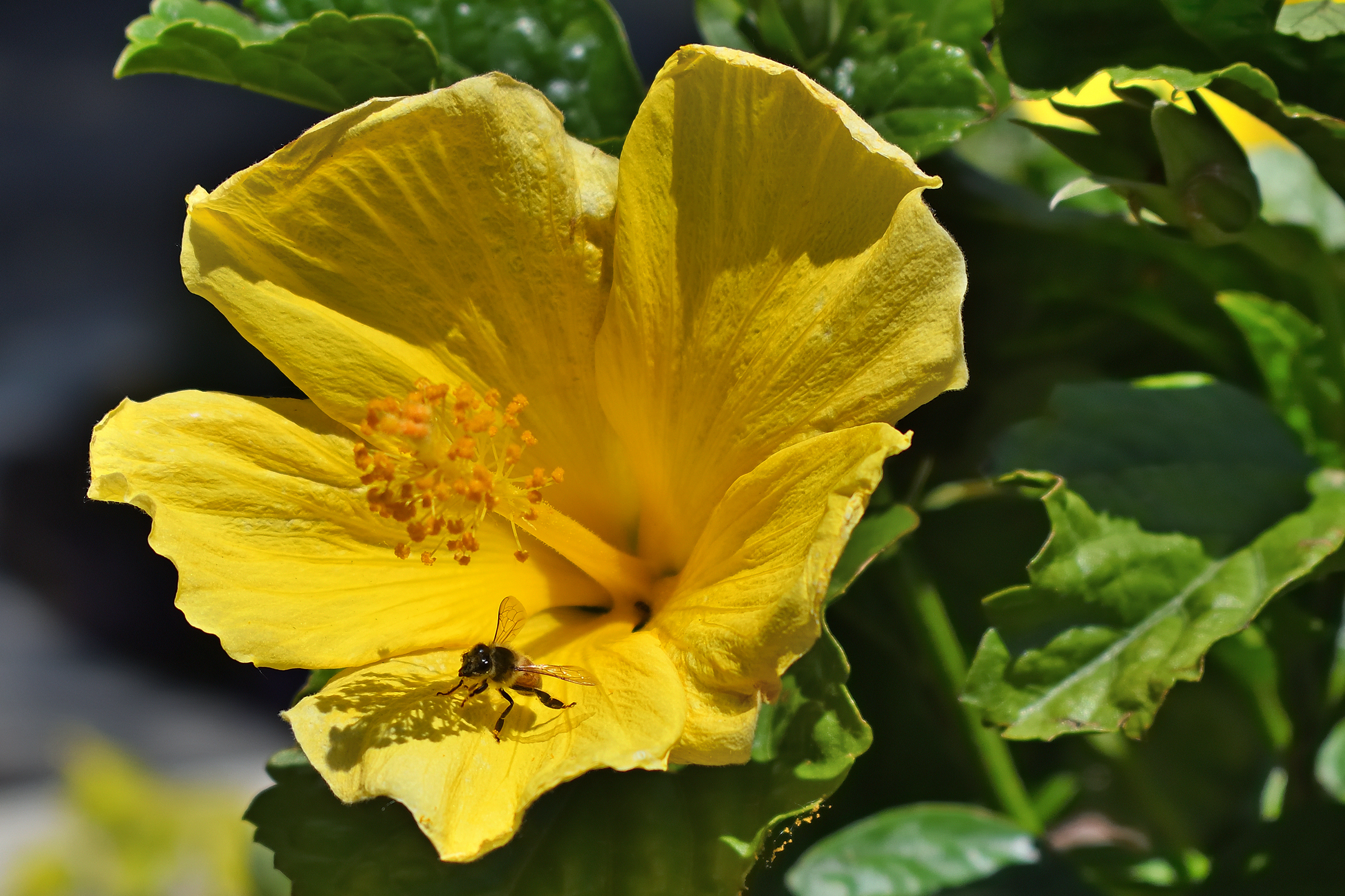 560_0041R_L_cr_sm.jpg