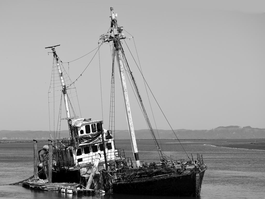 560_0102_sm.jpg