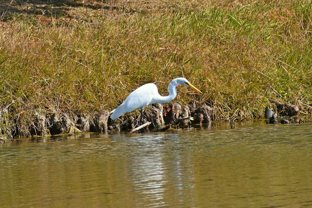 560_0163R_LCShCl_cr.jpg