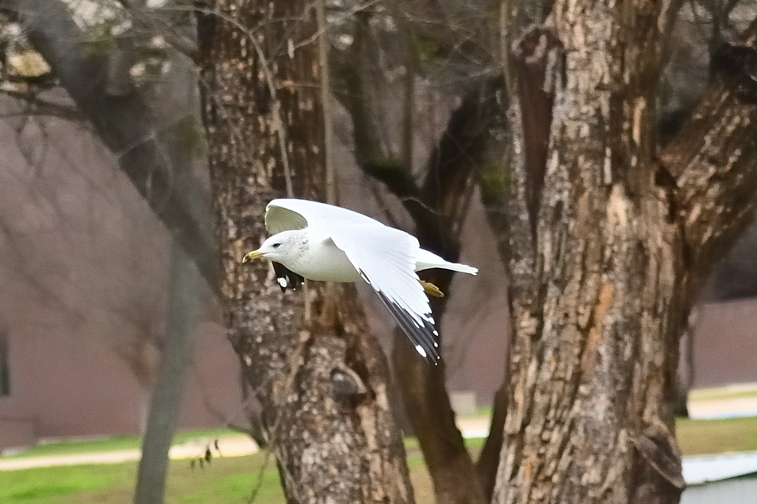 560_0168R_Hl_cr.jpg