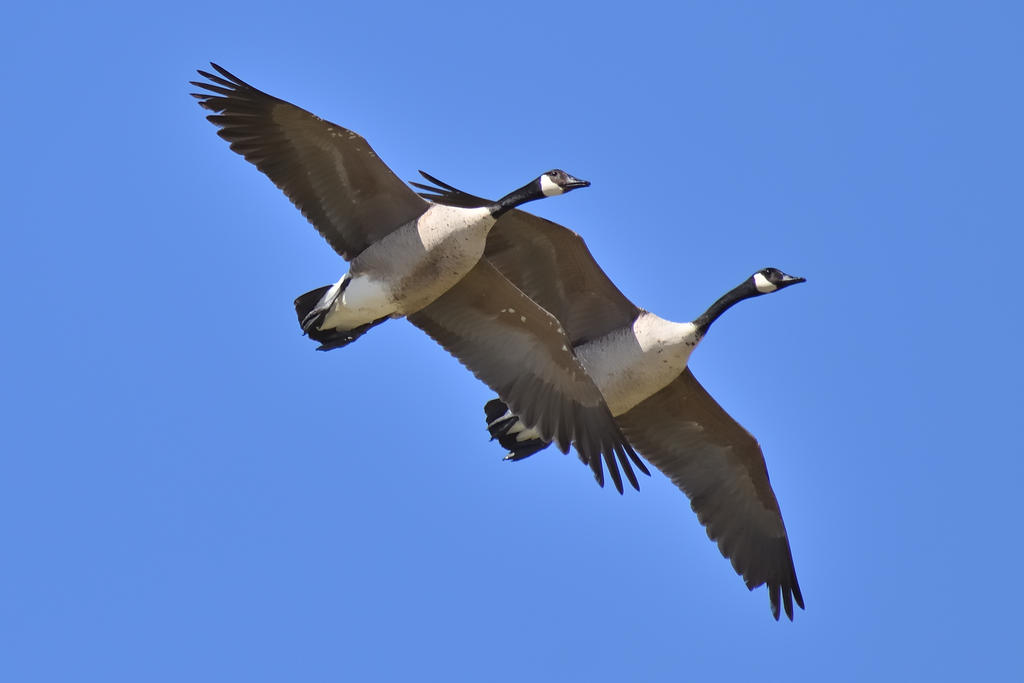 560_0176R_cr.jpg