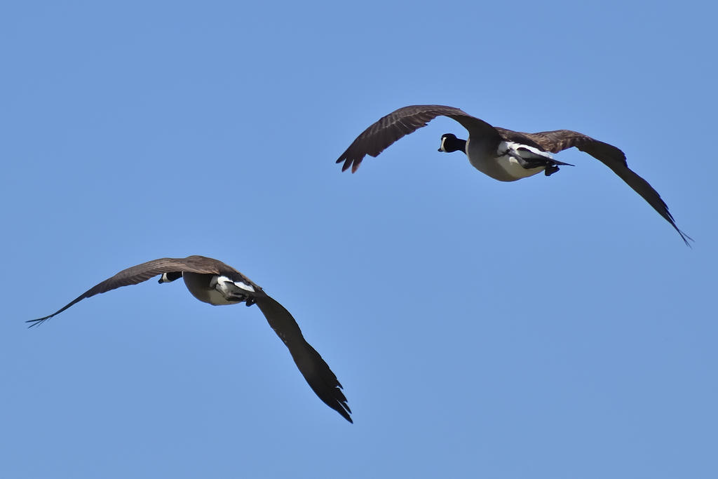560_0179R_cr.jpg