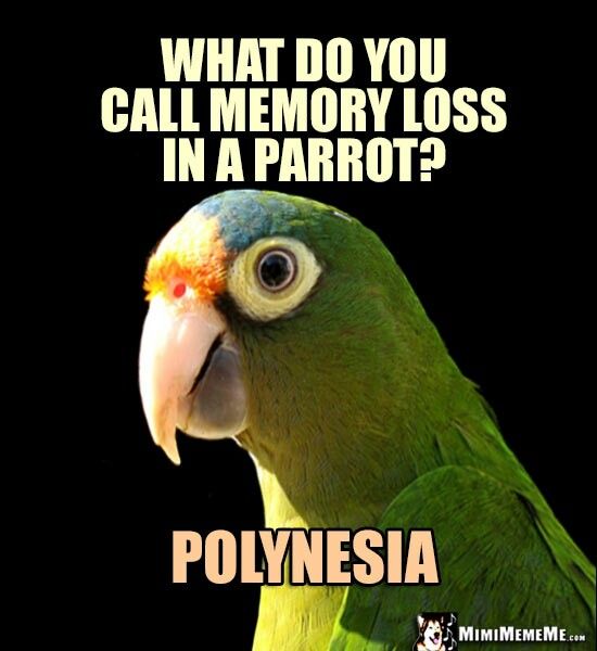 5d4b3ca58419e178c58ed277211f5ecf.jpg