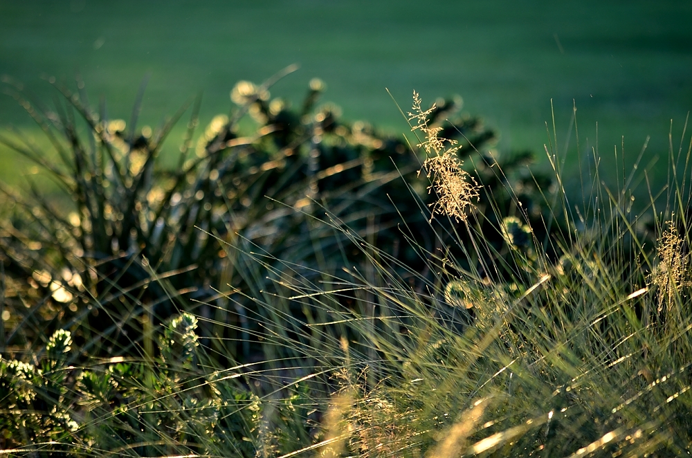 5th Aug 2014 026.JPG