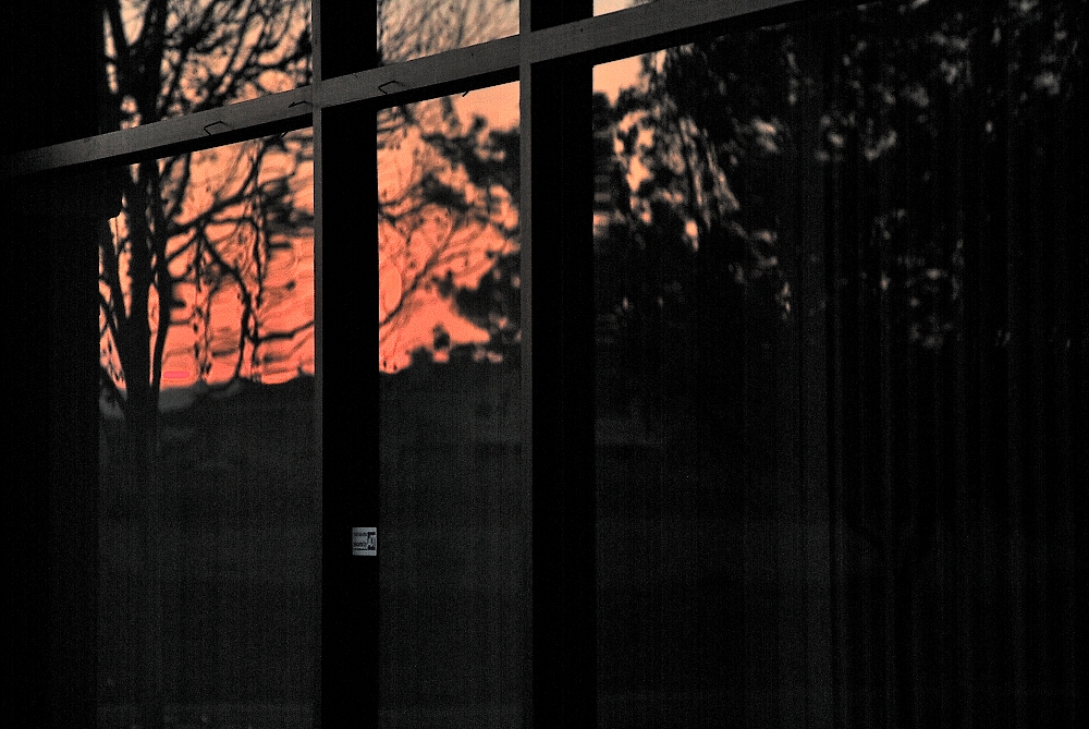5th Feb 2014 004.JPG