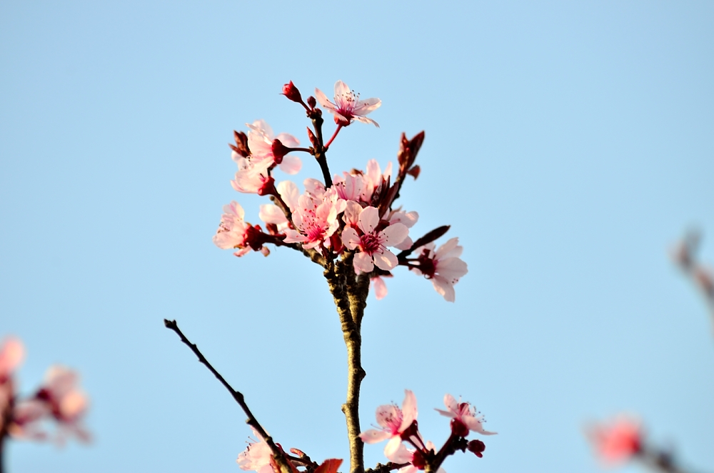 5th Mar 2014 024.JPG
