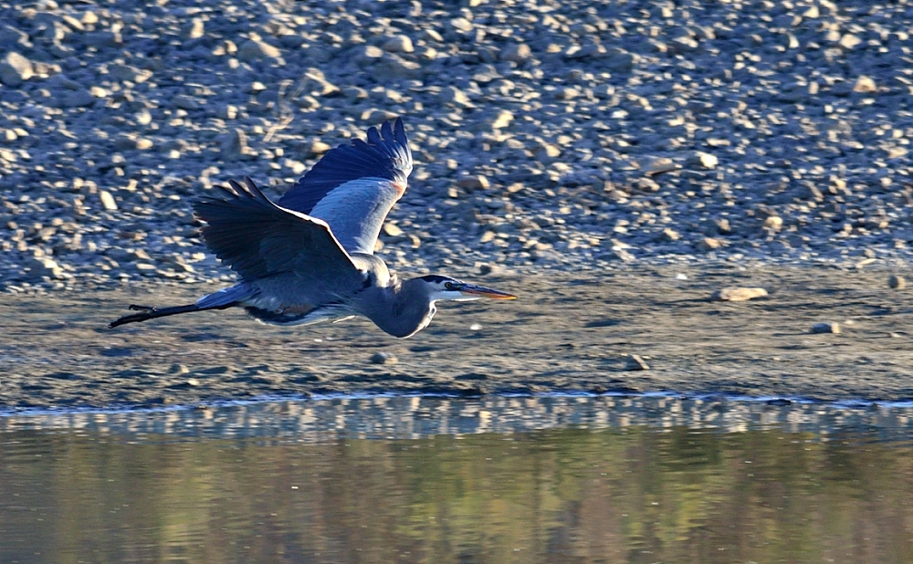 5th Oct 2013 047.JPG