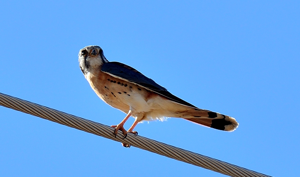 5th Oct 2014 032.JPG