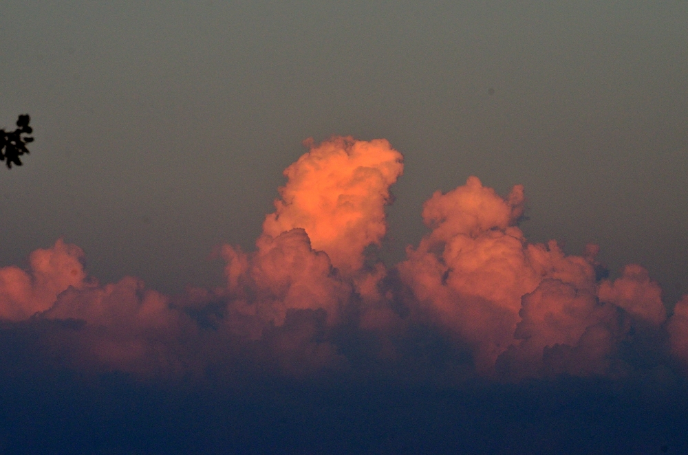 5th Sept 2014 028.JPG