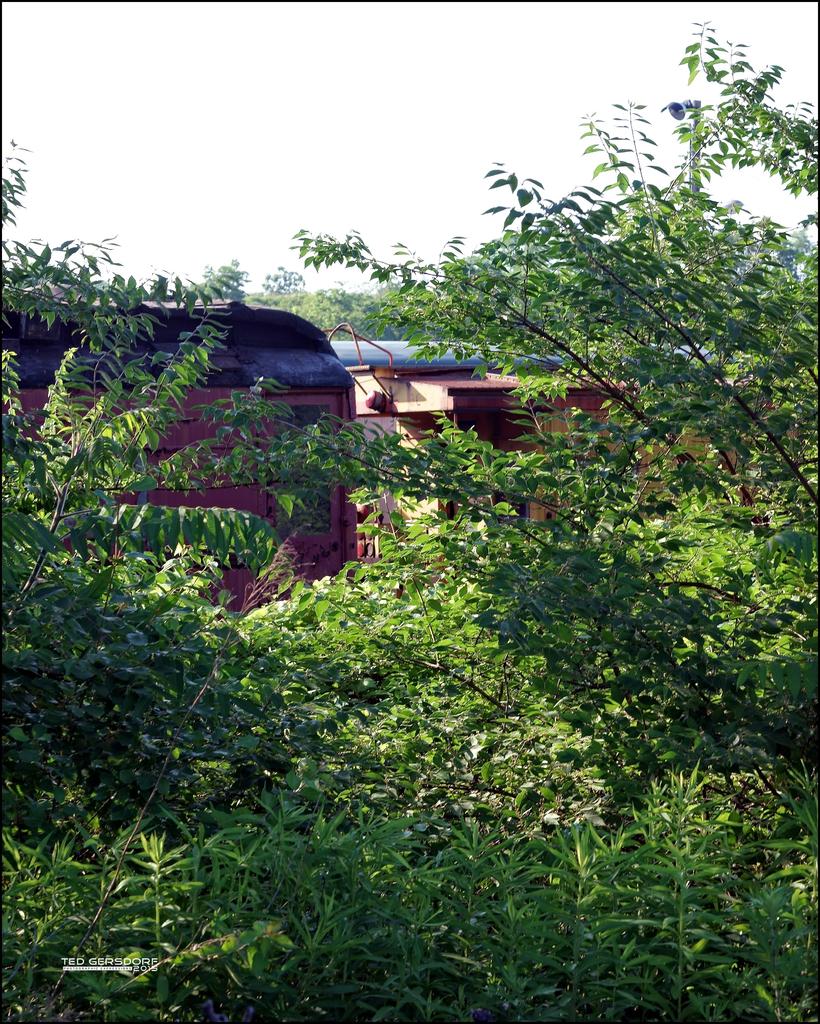 6-13-15 Columbus Road   44.jpg