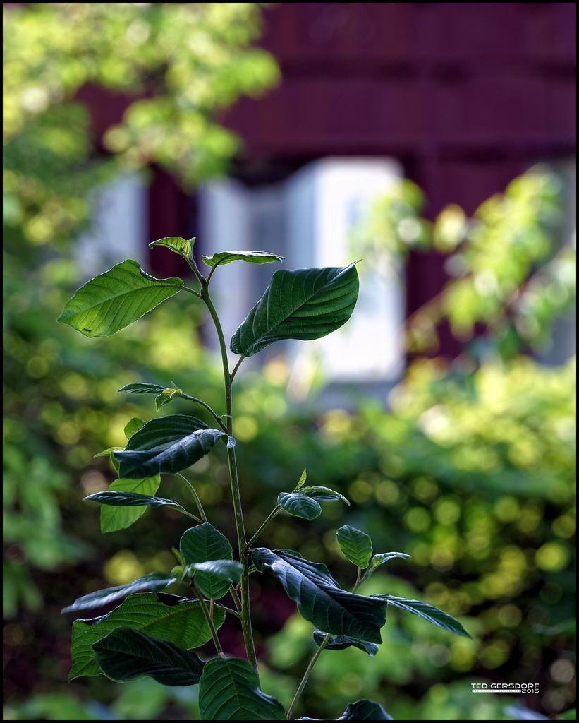6-13-15 Columbus Road   45.jpg