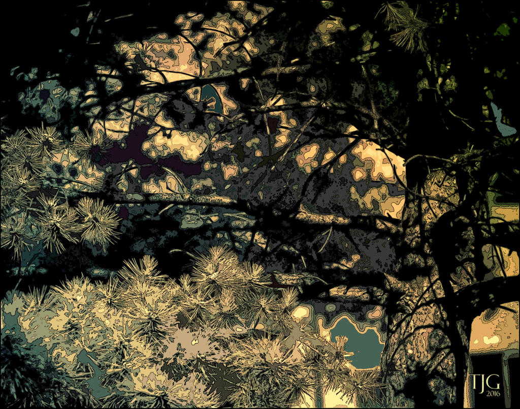 6-14-16 Tree sm.jpg