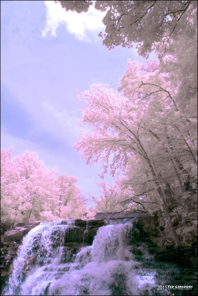 6-22-15 Brandywine IR  14.jpg