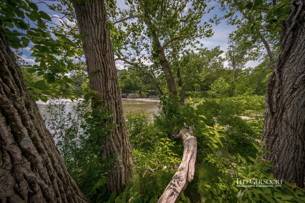 6-29-17 Peninnusla -1-14_4438CMA  1-11-17.JPG