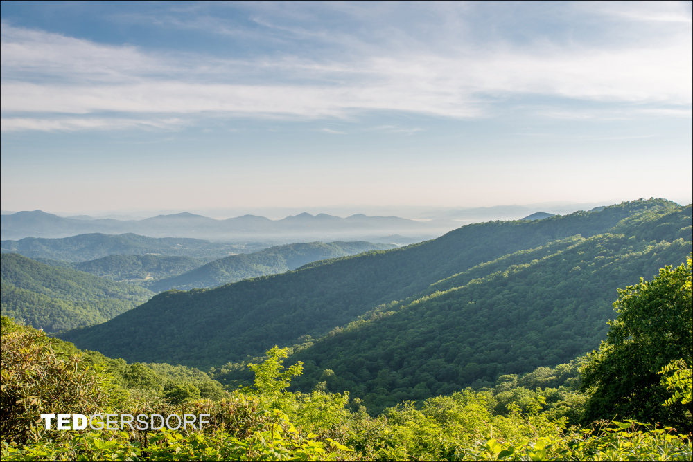 6-3-2017 Blue Ridge Prkwy-1-5_3162CMA  1-11-17.JPG