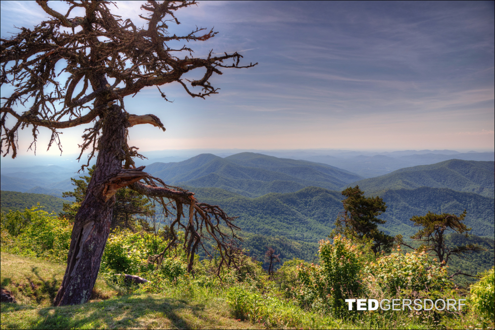 6-3-2017 Blue Ridge Prkwy-1-HDR 32_3185CMA  1-11-17.JPG