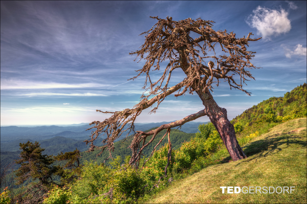 6-3-2017 Blue Ridge Prkwy-1-HDR 34_3187CMA  1-11-17.JPG