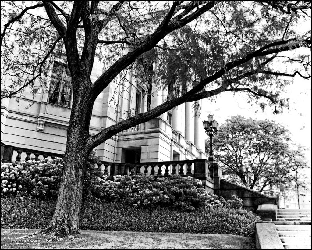 6-4-15 Severance Hall  IR 8.jpg