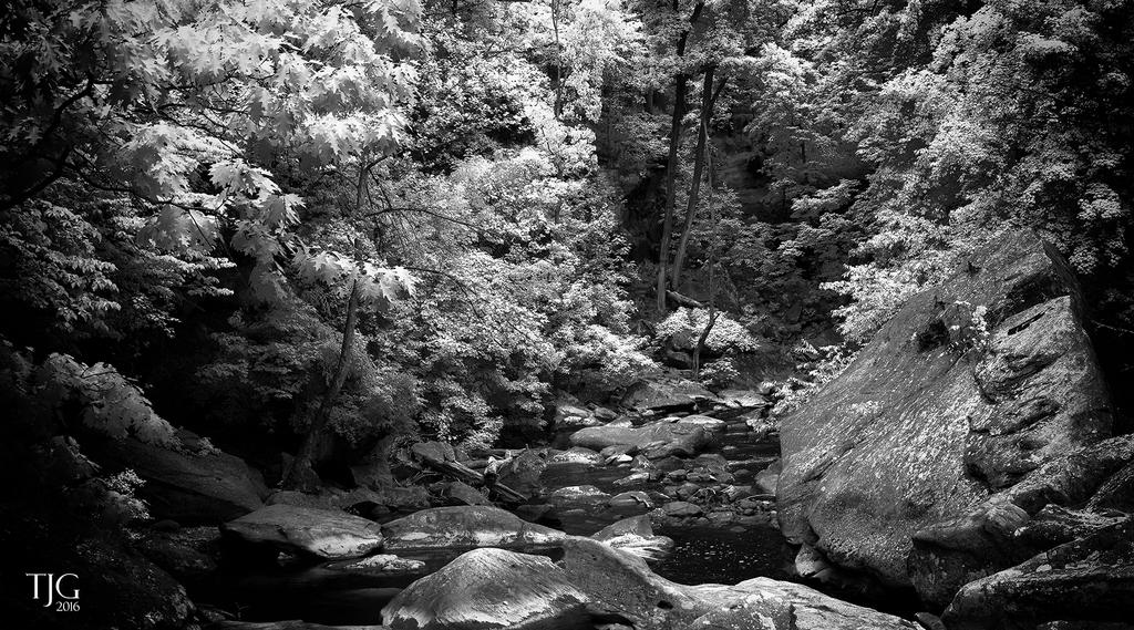 6-4-16 Berea Falls IR  11.2BWsm.jpg