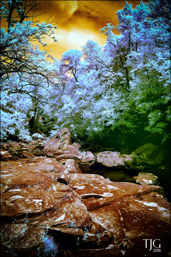 6-4-16 Berea Falls IR  5.1sm.jpg