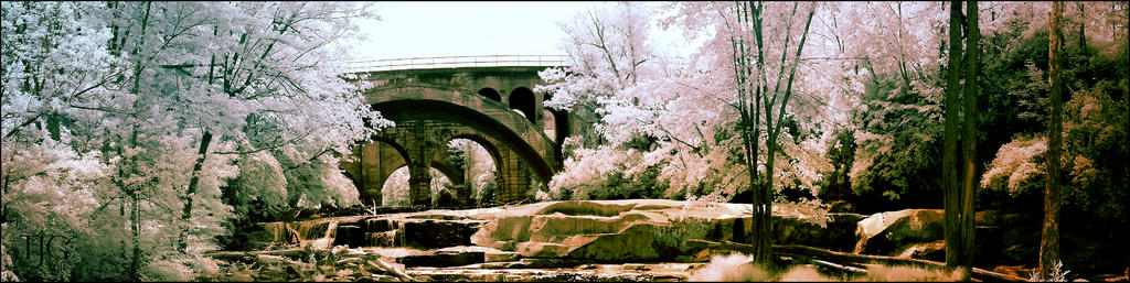 6-4-16 Berea Falls IR  9.2sm.jpg