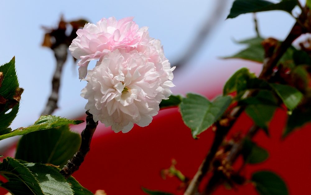 6-7th May 2015 035.JPG