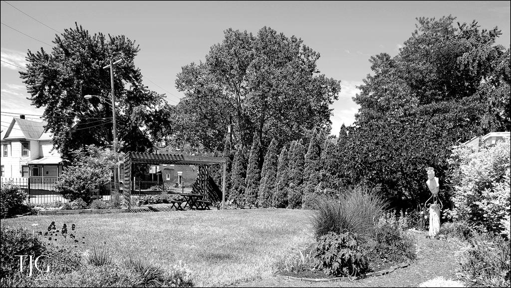 6-9-16 Tremont Area   10BWsm.jpg