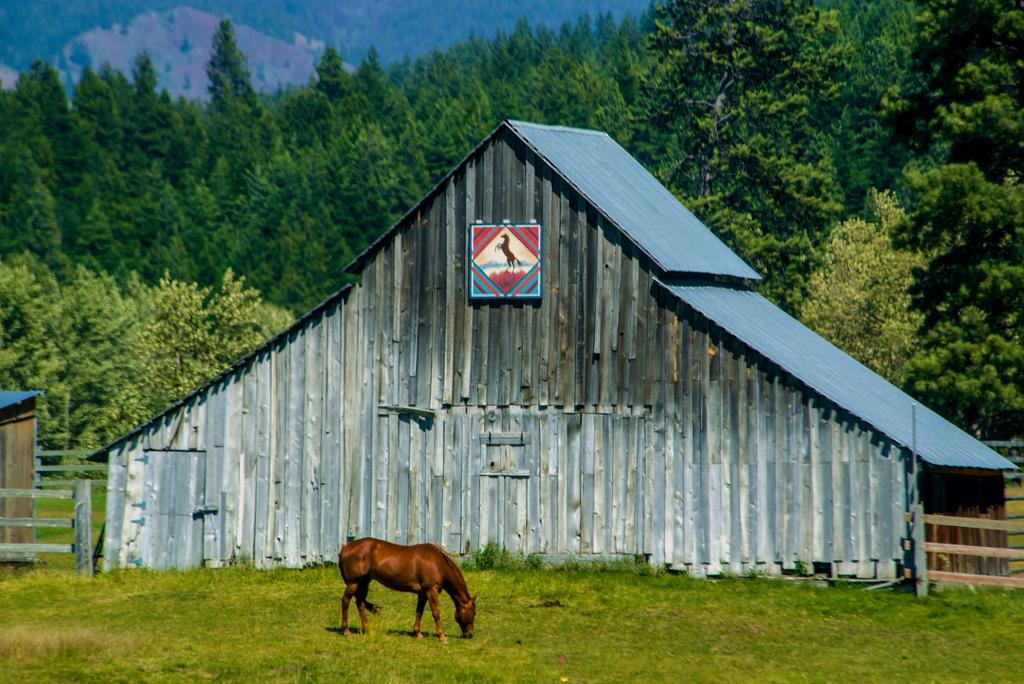 600_1727 (2000x1335).jpg