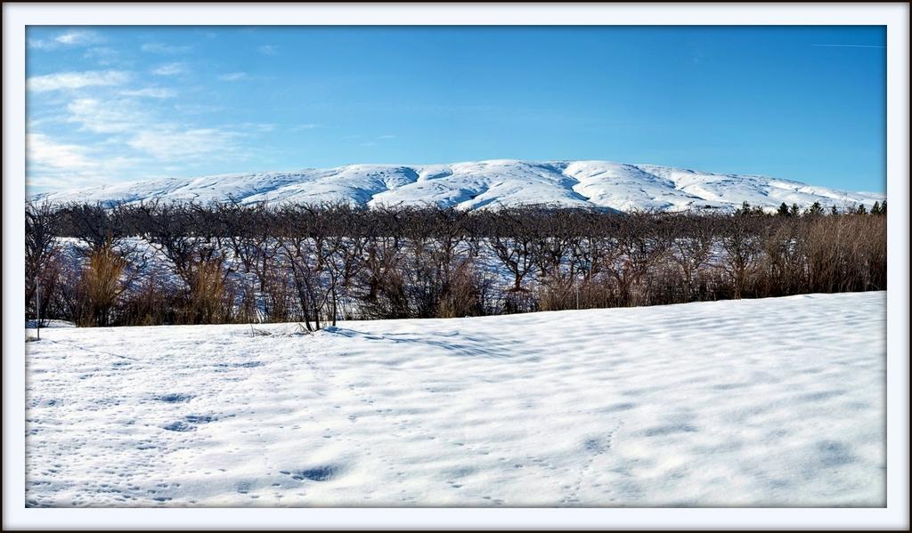 600_4651 Stitch.jpg