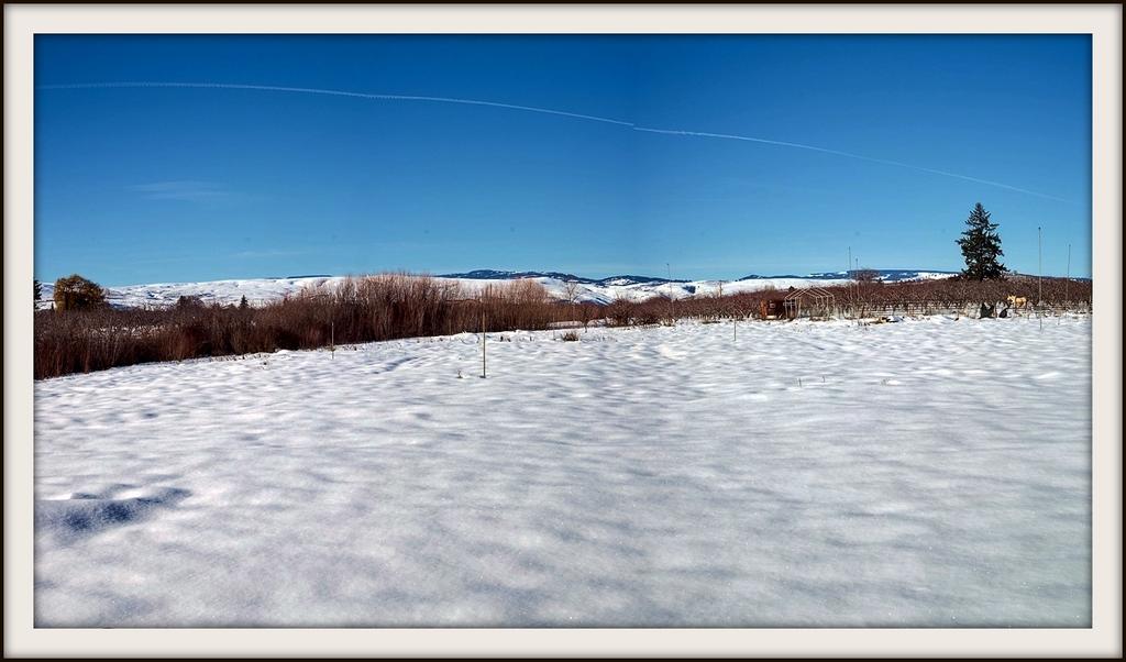 600_4655 Stitch.jpg