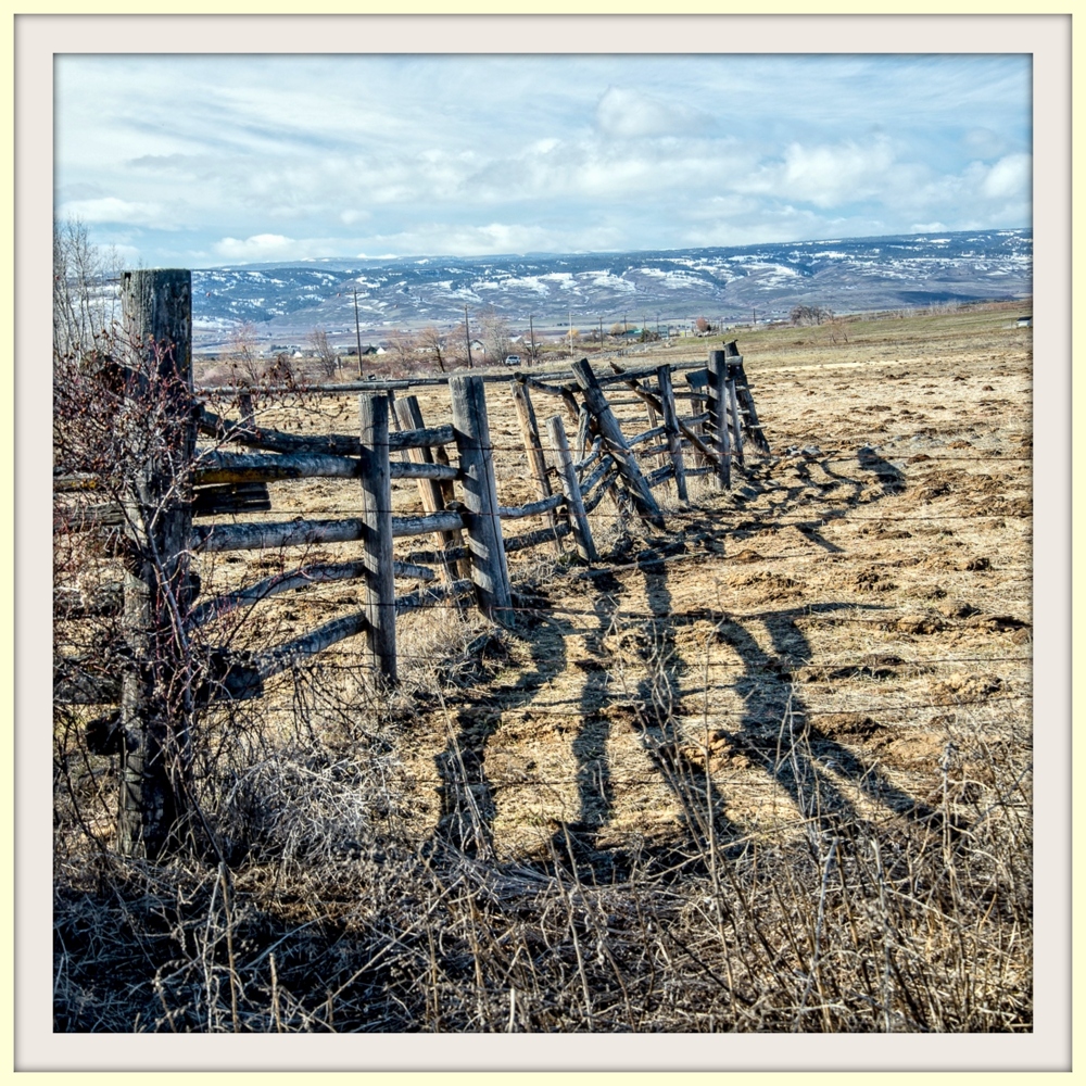600_5027-Edit.jpg