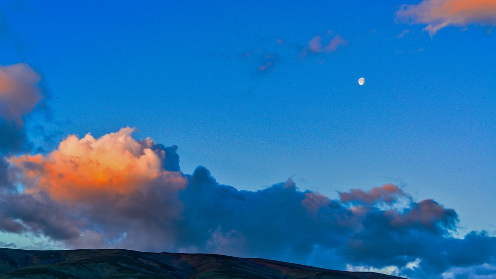 600_5396-HDR.jpg