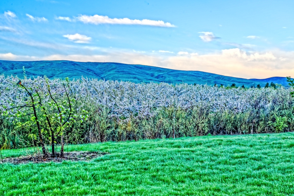 600_6494-Edit-Edit.jpg