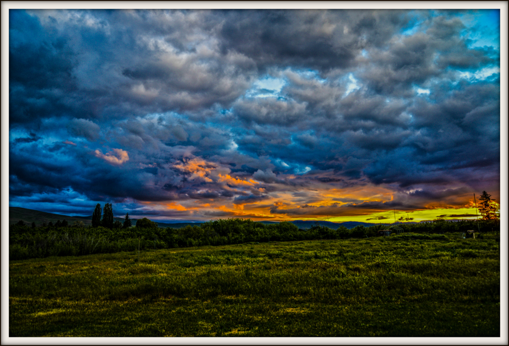 600_6618-Edit.jpg