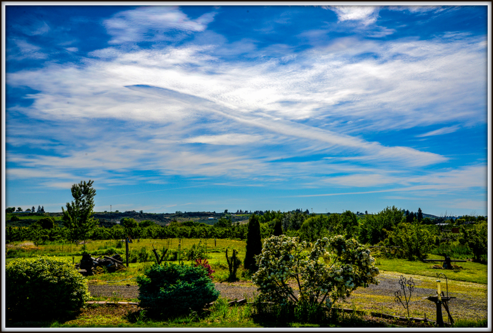 600_6646-Edit.jpg