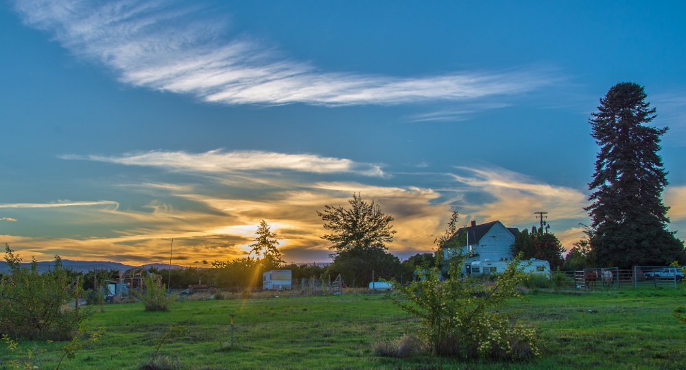 600_7266 (1000x540).jpg
