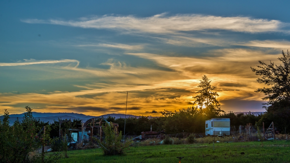 600_7269 (1000x563).jpg